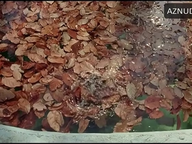 Diego luna and gael garcía swim naked