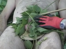 Stinging nettles for renne's junk