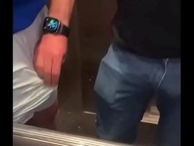 Miskupa - cock in elevator