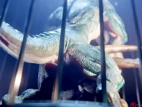 Reptiles cogiendo salvajemente