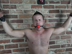 Mr bliss gets experimented on