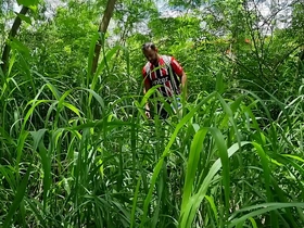 Entrei na mata em busca de foder com desconhecidos - exclusivos no meu red