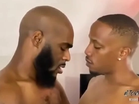 Taming the black snake: venom & j kreams