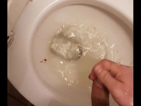 Toilet piss fountain