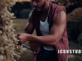 The tale of a yard pickup