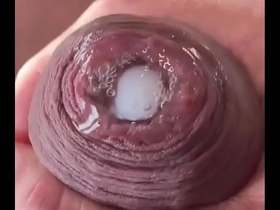 Compilation of uncut dick