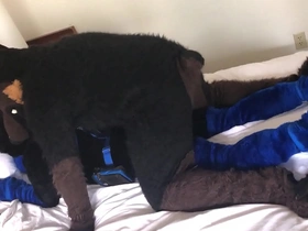 Slim fucks kairo murrsuit