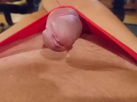 Roger virre - november/december 2020