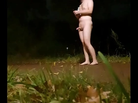 Naked masturbation and dildo in public at night.