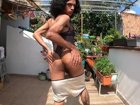 La perra de la casa medellin colombia