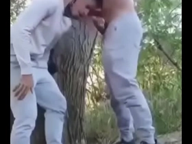 Safados fudendo no mato