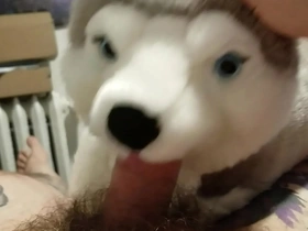 Blowjob from my plushie husky and finished with a masturbation