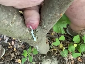 Cum with the tree
