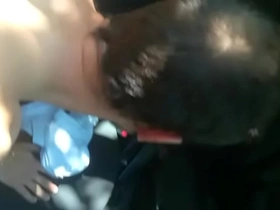 Tucanje u beogradskoj šumi