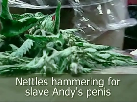 Stinging nettles hammering penis dare by andy